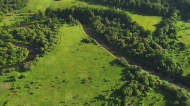 Nehirde çayırlar üzerinde uçuş