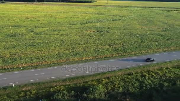 Aerial view of sport car driving in fields — Stock Video