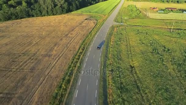 Вид с воздуха на спортивный автомобиль в полях — стоковое видео