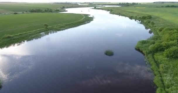 Floden på morgonen Birds eye view — Stockvideo