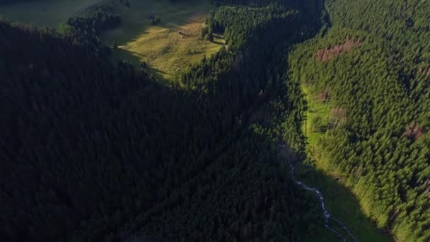 Vuelo sobre el bosque en las montañas — Vídeos de Stock