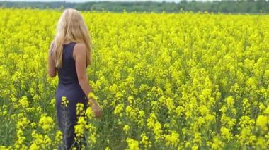Genç sarışın kadın güzel kolza tohumu alanında poz