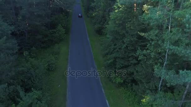 Vista aerea di auto sportive guida nella foresta — Video Stock
