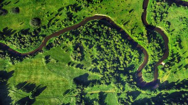 alan, ağaçlar ve nehir