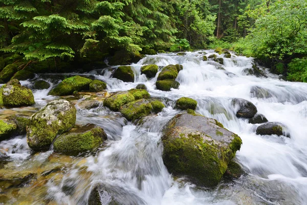 Ruisseau avec eau courante — Photo