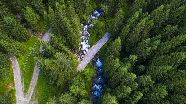 Road among wooded mountains — Stock Photo, Image