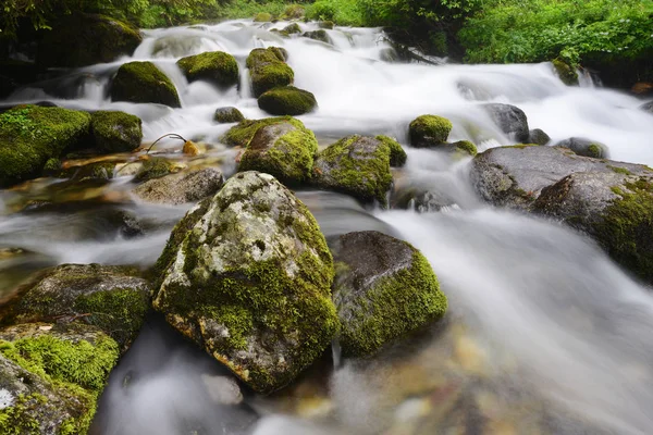 Creek z bieżącą wodą — Zdjęcie stockowe