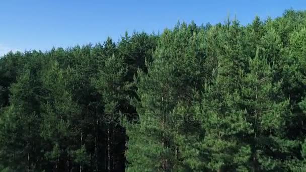 Зеленые луга вид с воздуха — стоковое видео