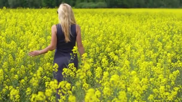 Joven rubia posando en hermoso campo de colza — Vídeos de Stock