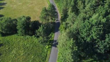 ormanda spor araba havadan görünümü