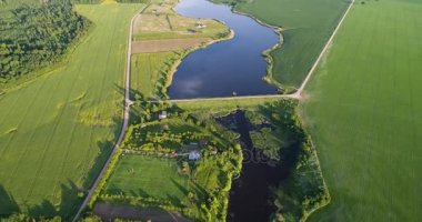 Kuş görünümü göz sabah nehirde