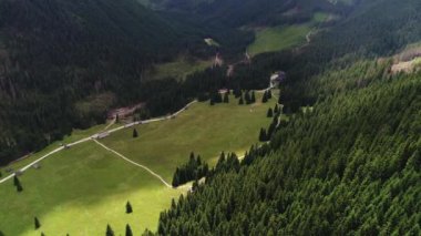 Orman dağlarında üzerinde uçuş