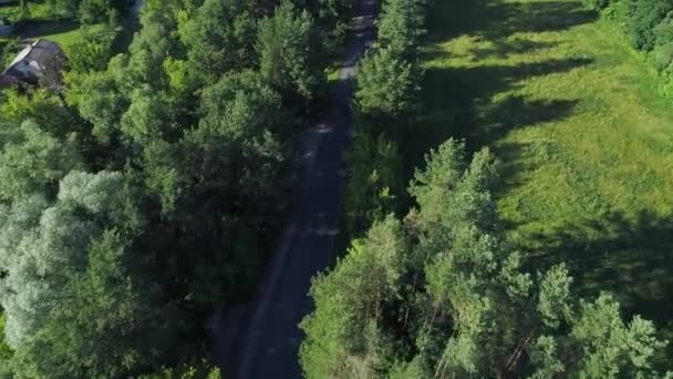 Sobrevoando a estrada e a floresta — Vídeo de Stock