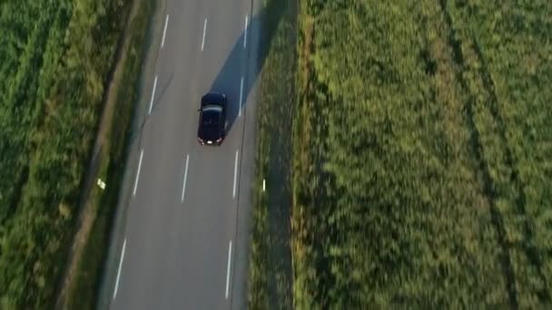 Vista aérea do carro esporte dirigindo em campos — Vídeo de Stock