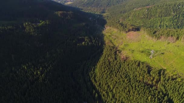 Orman dağlarında üzerinde uçuş — Stok video