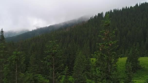Vuelo sobre el bosque en las montañas — Vídeo de stock