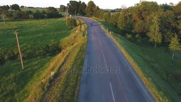 Luchtfoto van sport auto rijden in velden — Stockvideo