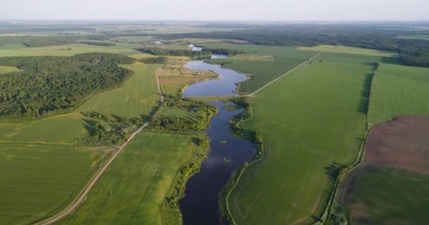 River at morning Birds eye view — Stock Video