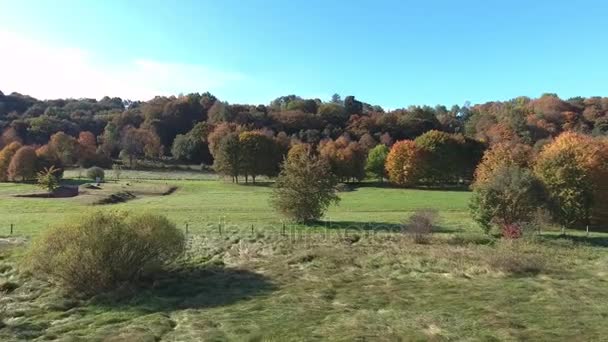 Yeşil çayırlar havadan görünümü — Stok video