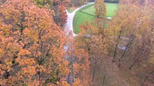 Sonbahar park manzaralı uçuş — Stok video