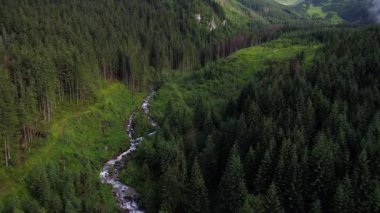 Orman dağlarında üzerinde uçuş