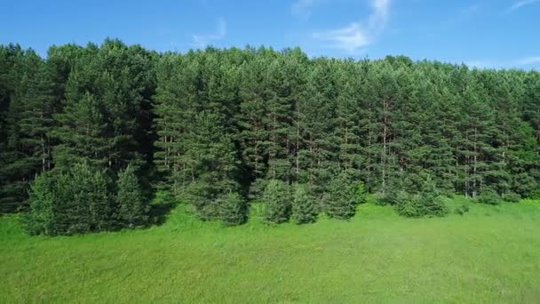 Luchtfoto van de groene weiden — Stockvideo