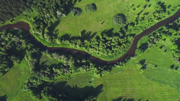 Voo sobre o rio em prados — Vídeo de Stock