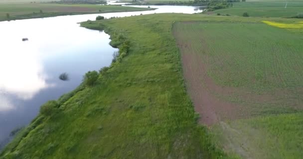 River at morning Birds eye view — Stock Video