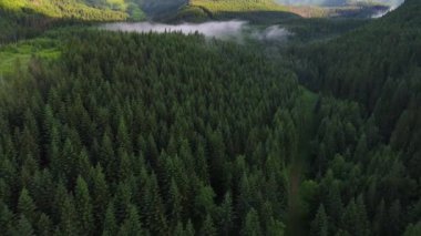 Orman dağlarında üzerinde uçuş