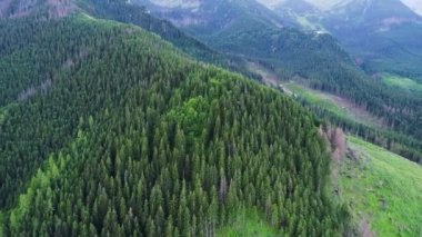 Orman dağlarında üzerinde uçuş