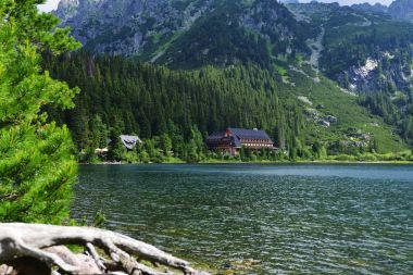 Taşlar sığ nehir akıyor
