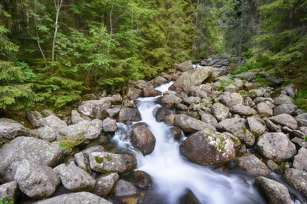 Eau courante en montagne — Photo