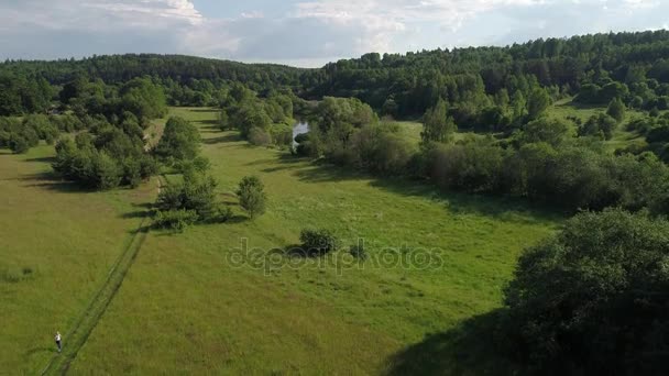 Volo sul fiume nei prati — Video Stock