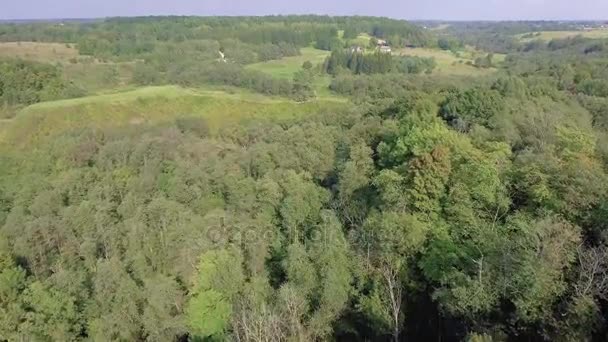 Repülő felett ősszel a zöld erdő — Stock videók