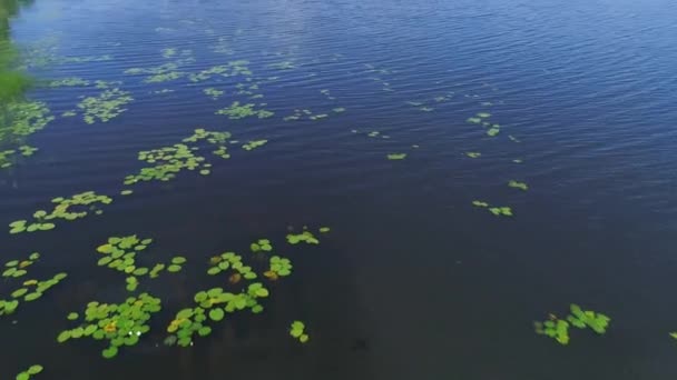 Voo sobre lagos e prados terra — Vídeo de Stock