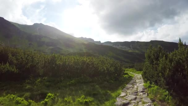Camino de piedra en las montañas — Vídeo de stock