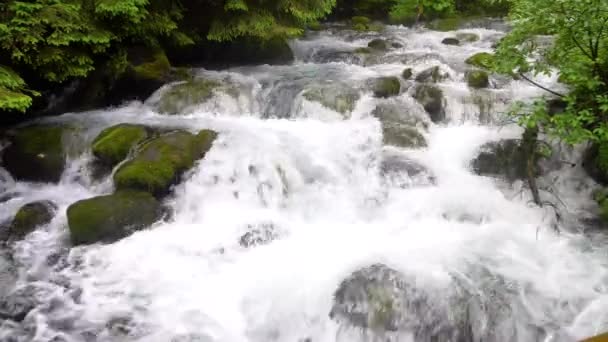 Belas waterfals em montanhas — Vídeo de Stock