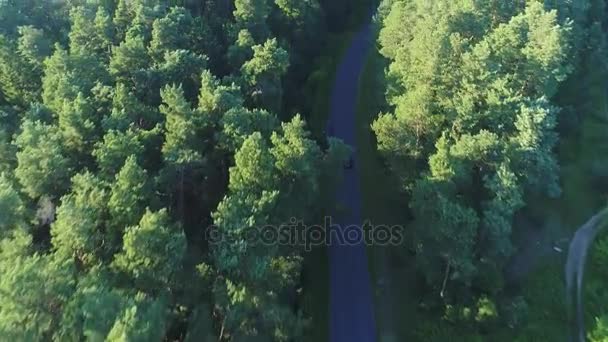 Vista aérea del coche deportivo conduciendo en el bosque — Vídeos de Stock