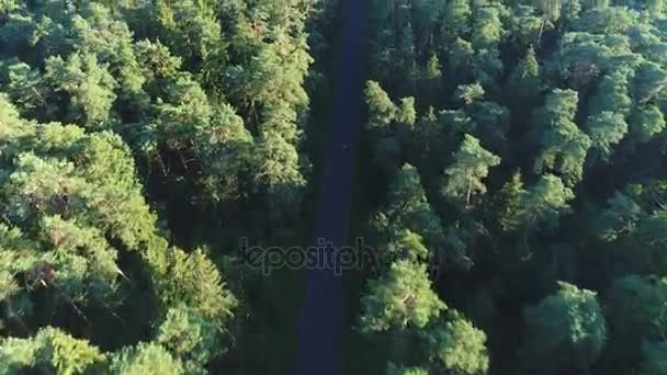 Vista aérea del coche deportivo conduciendo en el bosque — Vídeo de stock