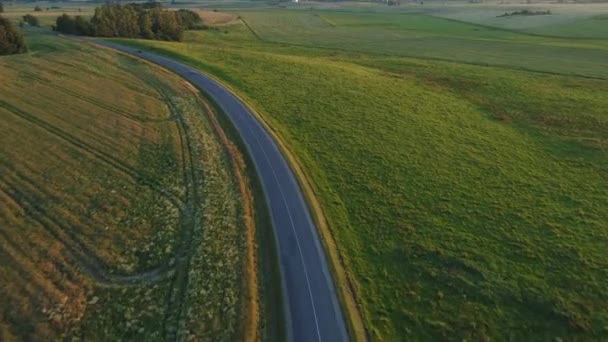 Luftaufnahme eines Sportwagens, der in Felder fährt — Stockvideo