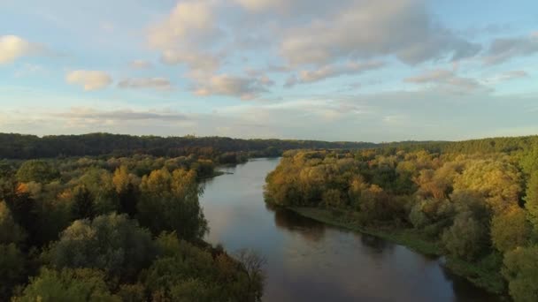 Vlucht over rivier en bos — Stockvideo