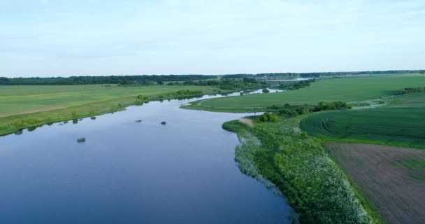 A madártávlatból nézet reggel folyó — Stock videók