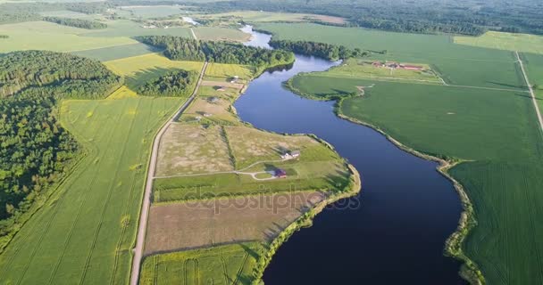 Floden på morgonen Birds eye view — Stockvideo