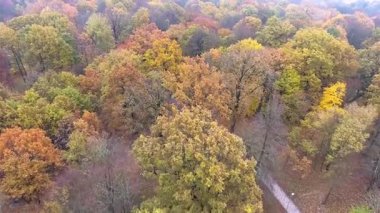 sonbahar park manzaralı uçuş
