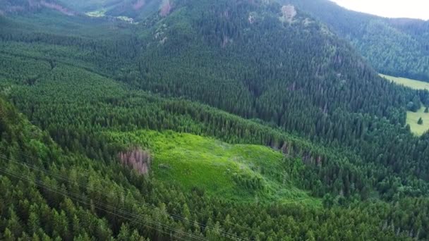 Полет над лесом в горах — стоковое видео