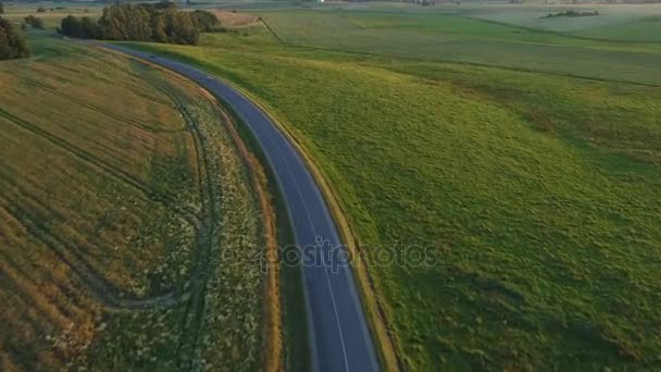 Flygfoto över sportbil körning i fält — Stockvideo