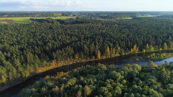 vol au-dessus de la rivière et forêt 