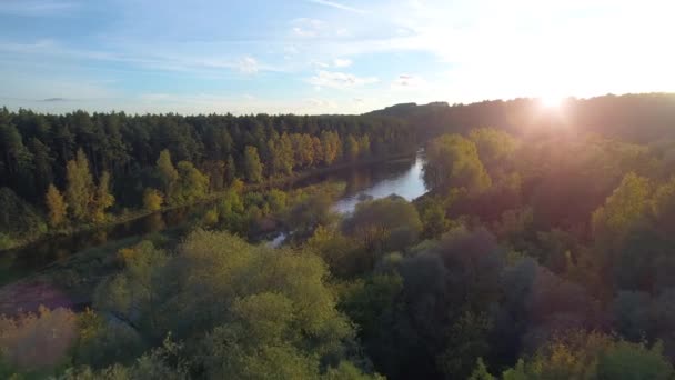 Політ над річкою і лісом — стокове відео
