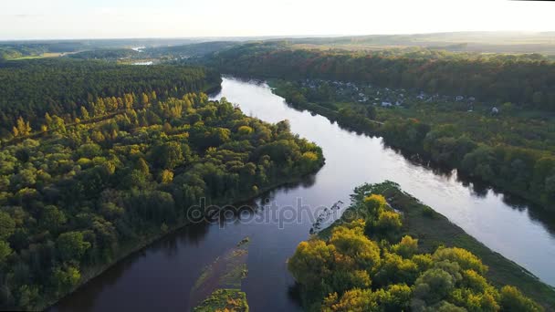 Flight over river and forest — Stock Video