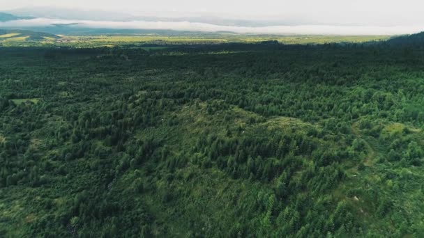 Vue aérienne de l'hôtel dans de belles montagnes — Video